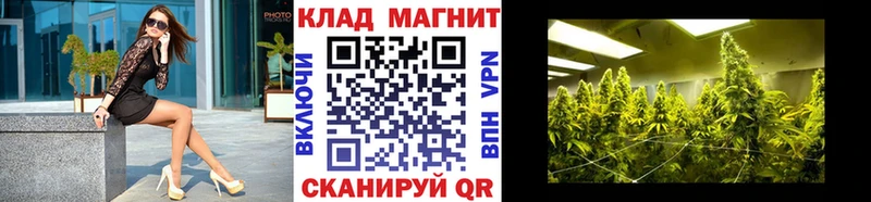  COCAIN Электрогорск