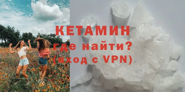 крисы Новозыбков