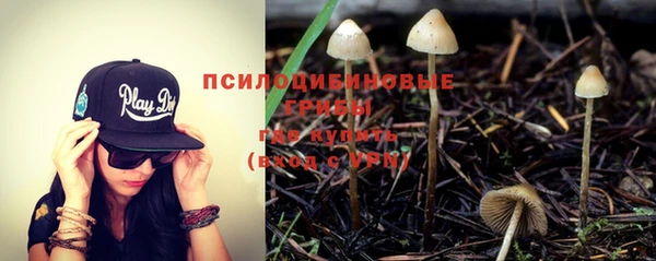 герыч Абаза