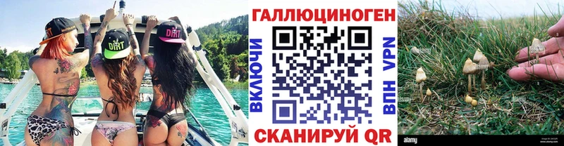 дарнет шоп  Электрогорск  kraken вход  Галлюциногенные грибы ЛСД 